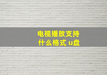 电视播放支持什么格式 u盘